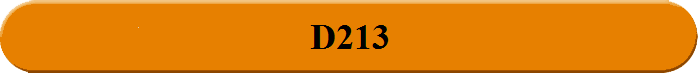 D213